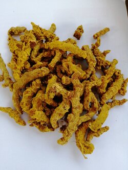 ขมิ้นชันตากแห้งเป็นหัว ขมิ้นอินทรีย์ Turmeric organic