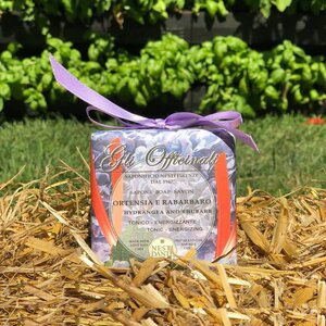 Nesti Dante Gli Officinali