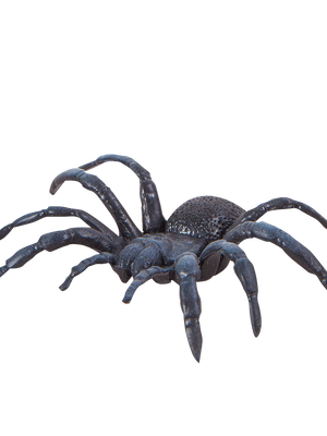 แมลงจำลอง (ชุดเล็ก), ของเล่นเสริมพัฒนาการ, ของเล่นเด็กอนุบาล, สื่อการสอนอนุบาล ,โรงเรียน,ห้องวิทยาศาสตร์ ,ของเล่นจำลอง ,พร้อมส่ง