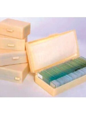 รวมชุดแผ่นสไลด์ตัวอย่างเนื้อเยื่อสรีระวิทยาและกายวิภาคของสัตว์ 37 ตัวอย่าง,สื่อการสอนประถมศึกษา,ของเล่นเสริมพัฒนาการ, ของเล่นเสริมทักษะ,ทดลองวิทยาศาสตร์,พร้อมส่ง