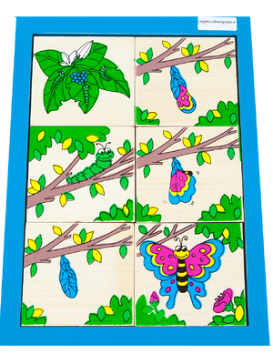 เกมลำดับเหตุการณ์สัตว์ , ของเล่นไม้, ของเล่นเสริมพัฒนาการ, ของเล่นเด็กอนุบาล, สื่อการสอนเด็กอนุบาล