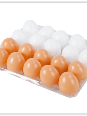 1405 ไข่เป็ด- ไข่ไก่ ( 20 ฟอง ) ของเล่นเสริมพัฒนาการ ,ของเล่นเสริมทักษะ,ของเล่นเด็ก, สื่อการสอนอนุบาล