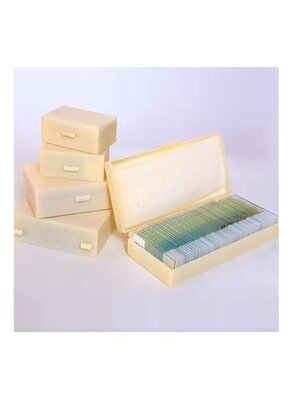 รวมชุดแผ่นสไลด์ตัวอย่างเนื้อเยื่อ และโครงสร้างของพืช 27 ตัวอย่าง,สื่อการสอนประถมศึกษา,ของเล่นเสริมพัฒนาการ, ของเล่นเสริมทักษะ,ทดลองวิทยาศาสตร์,พร้อมส่ง