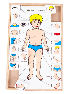 จับคู่ร่างกายของฉัน (ภาษาอังกฤษ) , ของเล่นไม้, ของเล่นเสริมพัฒนาการ, ของเล่นเด็กอนุบาล, สื่อการสอนเด็กอนุบาล