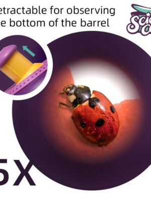 กล่องเลี้ยงแมลงและปลา แบบพกพา ของเล่นเสริมพัฒนาการ, สื่อการสอนเด็กอนุบาล ,ของเล่นเสริมพัฒนาการ ของเล่นเด็ก พร้อมส่ง