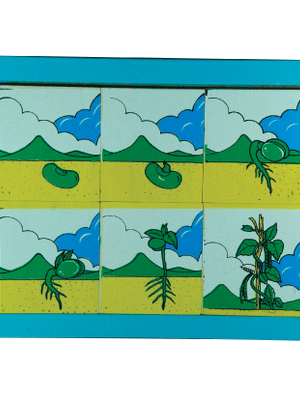 ภาพลำดับเหตุการณ์ พืช , ของเล่นไม้, ของเล่นเสริมพัฒนาการ, ของเล่นเด็กอนุบาล, สื่อการสอนเด็กอนุบาล