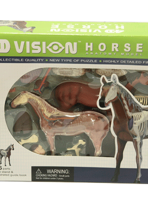 โมเดลม้า (4D Vision Horse) ,ของเล่นเสริมพัฒนาการ, ของเล่นเด็กอนุบาล, สื่อการสอนเด็กอนุบาล}วิทยาศาสตร์ทดลอง