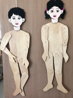 ร่างกายของฉันชาย หญิง แยกจำหน่าย , ของเล่นไม้, ของเล่นเสริมพัฒนาการ, ของเล่น,สื่อการสอนปฐมวัย