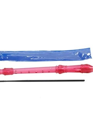 ขลุ่ยรีคอร์เดอร์ของเจ้าหนูน้อย สื่อการสอนอนุบาล,ปฐมวัย,ของเล่นเสริมพัฒนาการ, ของเล่นเสริมทักษะ