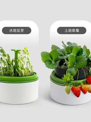 ชุดปลูกพืชแสนสนุก สื่อการสอนอนุบาล,ปฐมวัย,ของเล่นเสริมพัฒนาการ, ของเล่นเสริมทักษะ