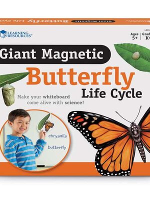 ภาพแม่เหล็กวงจรชีวิตของผีเสื้อ, ของเล่นเสริมทักษะ,ของเล่นเสริมพัฒนาการเด็ก, สือการสอนครูปฐมวัย, พร้อมส่ง