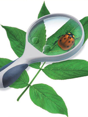 แว่นขยายใหญ่พิเศษ ขนาดเส้นผ่าศูนย์กลาง100mm , ของเล่นเสริมพัฒนาการ สื่อการสอนอนุบาล,ปฐมวัย,ของเล่นเสริมทักษะ,สื่อการสอนผลิตในไทย,สินค้าพร้อมส่ง