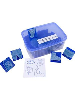 ชุดตรายางอวัยวะร่างกาย 28 ชิ้น, ตรายาง ,ตราปั๊ม ,สื่อการสอน, พร้อมส่ง