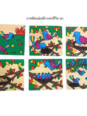 เกมลำดับเหตุการณ์ นก, ภาพติดแม่เหล็กวงจรชีวิต นก ,ของเล่นเสริมพัฒนาการ ,ของเล่นเสริมทักษะ,ของเล่นเด็ก, สื่อการสอนอนุบาล