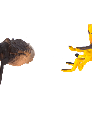 วงจรชีวิตผีเสื้อ , ของเล่นเสริมพัฒนาการ, ของเล่นเด็ก, สื่อการสอน,อนุบาล ,โรงเรียน,ห้องวิทยาศาสตร์ ,ของเล่นจำลอง ,พร้อมส่ง