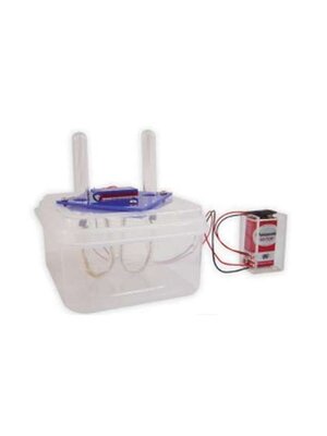 ชุดแยกน้ำด้วยไฟฟ้า (ELECTROLYSIS OF WATER) ,ของเล่นเสริมพัฒนาการ, ของเล่นเด็ก, สื่อการสอน , วิทยาศาสตร์,พร้อมส่ง