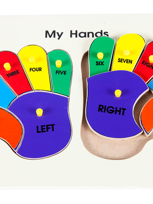 มือของฉัน , ของเล่นไม้, ของเล่นเสริมพัฒนาการ, ของเล่นเด็กอนุบาล, สื่อการสอนเด็กอนุบาล