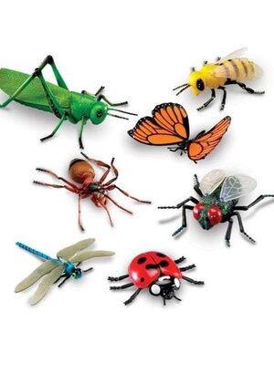 ชุดโมเดลของโลกแมลง insect, ทดลองวิทยาศาสตร์ของเล่นเสริมทักษะ,ของเล่นเสริมพัฒนาการเด็ก, สือการสอนครูปฐมวัย, พร้อมส่ง