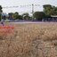 ขายที่ดินติดถนน เป็นที่ดินเปล่า ถมแล้ว ขนาด 5 ไร่ พัฒนาได้ทันที