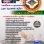 คุ่มือเตรียมสอบนักจัดการงานทั่วไป กรมพัฒนาการแพทย์แผนไทยและการแพทย์ทางเลือก