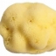 100% Mediterranean Natural Sea Sponge Size S (9 cm)